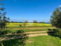 Foto Terreno agricolo in vendita a Partinico