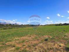 Foto Terreno agricolo in vendita a Partinico