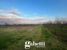 Foto Terreno agricolo in vendita a Pastorano