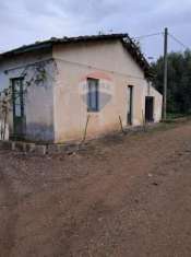 Foto Terreno agricolo in vendita a Paterno'