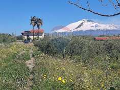Foto Terreno agricolo in vendita a Paterno'