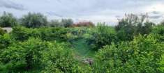 Foto Terreno agricolo in vendita a Paterno'