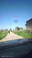 Foto Terreno agricolo in vendita a Paterno'