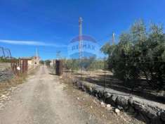 Foto Terreno agricolo in vendita a Paterno'