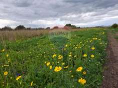 Foto Terreno agricolo in vendita a Paterno'