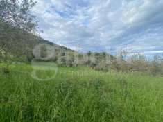 Foto Terreno agricolo in vendita a Patti
