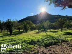 Foto Terreno agricolo in vendita a Patti