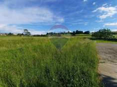 Foto Terreno agricolo in vendita a Pecetto Di Valenza