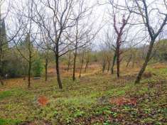 Foto Terreno agricolo in vendita a Perugia
