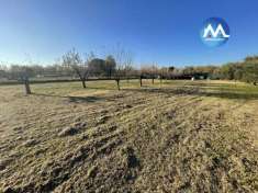 Foto Terreno agricolo in vendita a Pesaro