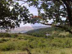 Foto Terreno agricolo in vendita a Piana Degli Albanesi