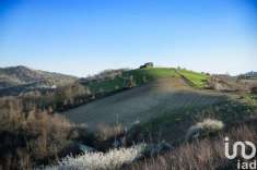 Foto Terreno agricolo in vendita a Picciano