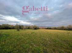 Foto Terreno agricolo in vendita a Pignataro Maggiore