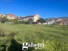 Foto Terreno agricolo in vendita a Pignataro Maggiore