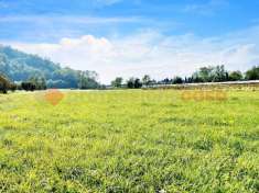 Foto Terreno agricolo in vendita a Pinerolo