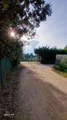 Foto Terreno agricolo in vendita a Piombino