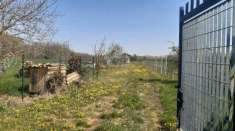 Foto Terreno agricolo in vendita a Piossasco