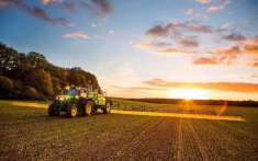 Foto Terreno agricolo in vendita a Piove Di Sacco