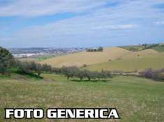 Foto Terreno agricolo in Vendita a Pisa