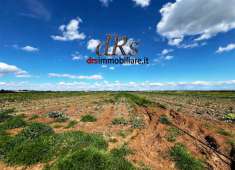 Foto Terreno agricolo in vendita a Pisticci