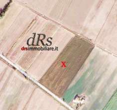 Foto Terreno agricolo in vendita a Pisticci