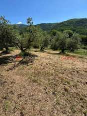 Foto Terreno agricolo in vendita a Pistoia