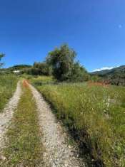 Foto Terreno agricolo in vendita a Pistoia