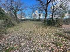 Foto Terreno agricolo in vendita a Pistoia