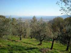 Foto Terreno agricolo in vendita a Pistoia