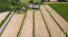 Foto Terreno agricolo in vendita a Pocenia