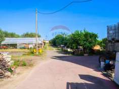 Foto Terreno agricolo in vendita a Policoro