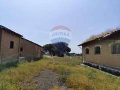 Foto Terreno agricolo in vendita a Pomezia