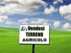 Foto Terreno agricolo in vendita a Pontasserchio - San Giuliano Terme 2200 mq  Rif: 1315852