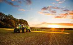 Foto Terreno agricolo in vendita a Pontelongo