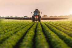 Foto Terreno agricolo in vendita a Pontirolo Nuovo