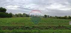 Foto Terreno agricolo in vendita a Ponzano Veneto