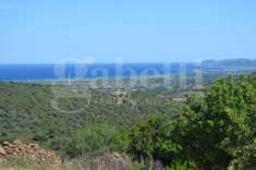 Foto Terreno agricolo in vendita a Posada