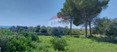 Foto Terreno agricolo in vendita a Pozzallo