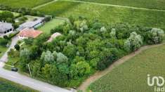 Foto Terreno agricolo in vendita a Pramaggiore
