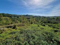 Foto Terreno agricolo in vendita a Prata Di Principato Ultra