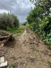 Foto Terreno agricolo in vendita a Prato
