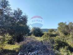 Foto Terreno agricolo in vendita a Priolo Gargallo