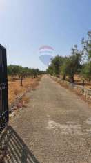 Foto Terreno agricolo in vendita a Priolo Gargallo