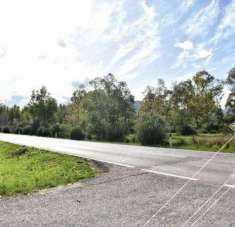 Foto Terreno agricolo in vendita a Pula