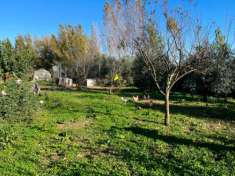 Foto Terreno agricolo in vendita a Putignano Pisano - Pisa 3600 mq  Rif: 1295164