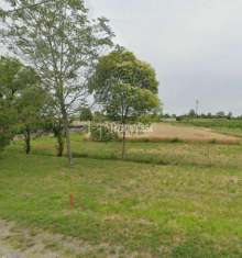 Foto Terreno agricolo in vendita a Quarto D'Altino