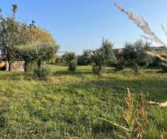 Foto Terreno agricolo in vendita a Quercioli - Massa 2370 mq  Rif: 1183298