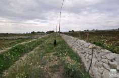 Foto Terreno agricolo in vendita a Ragusa