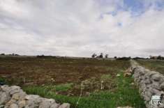 Foto Terreno agricolo in vendita a Ragusa