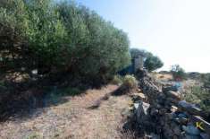 Foto Terreno agricolo in vendita a Ragusa